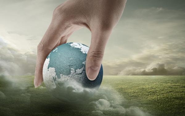 新昌k8凯发天生赢家进出口有限公司